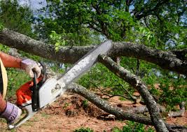 Best Lot and Land Clearing  in Ventress, LA